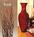 Green Floral Crafts - 36 inch Classic Mahogany Red Bamboo Floor Vase & Birch Branches
