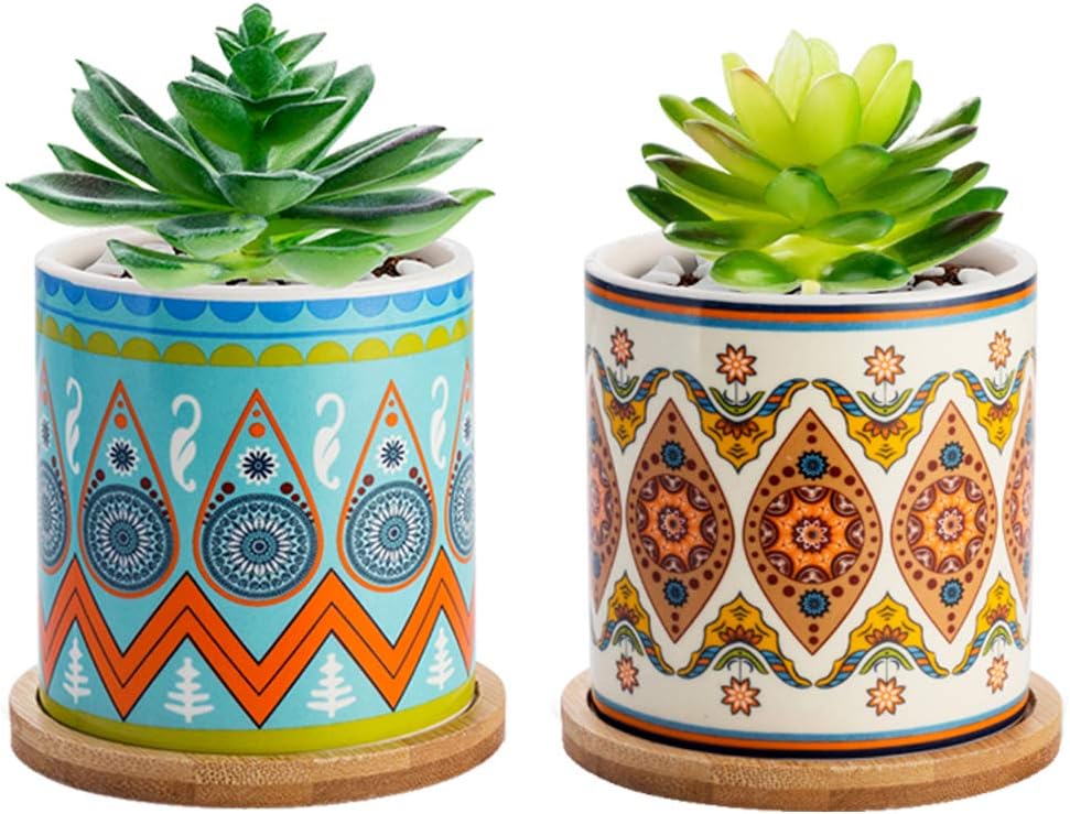 Succulent Plant Pots - 3.2 inch Ceramic Succulent Planter - Small Cylinder Flower pots for Cactus with Drainage Hole and Bamboo Tray, 2 Pack.