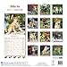 Shiba Inu Calendar 2017 - Dog Breed Calendars - 2016 - 2017 wall calendars - 16 Month by Avonside