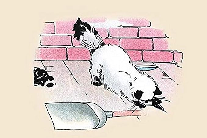 Write a story with the title, ‘the missed opportunity’. picture