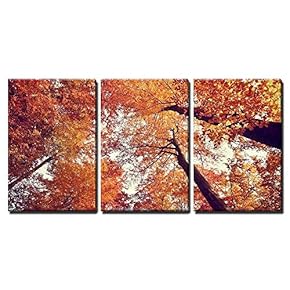 3 Piece Canvas Wall Art - Beautiful Autumn Fall Forest Scene - Modern Home Art Stretched and Framed Ready to Hang - 16"x24"x3 Panels