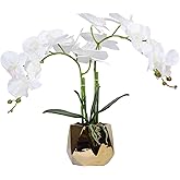 W&W Artificial Orchid Plants & Flowers Arrangement in Ceramic Pot, Fake Faux White Orchid with Gold Vase, Realistic Phalaenopsis Orchids for Home Decor Indoor, 15 * 17"