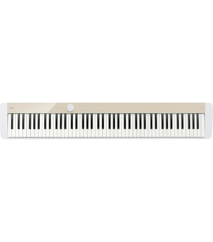 Amazon.com: Casio Portable Keyboard (PX-S1000RD) : Clothing, Shoes