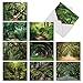 The Best Card Company - Box of 10 All Occasion Cards Blank (4 x 5.12 Inch) - Scenic Landscape Cards Assorted - Nature Trails M6467OCB