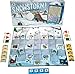 Family Pastimes / Snowstorm - A Co-operative Game