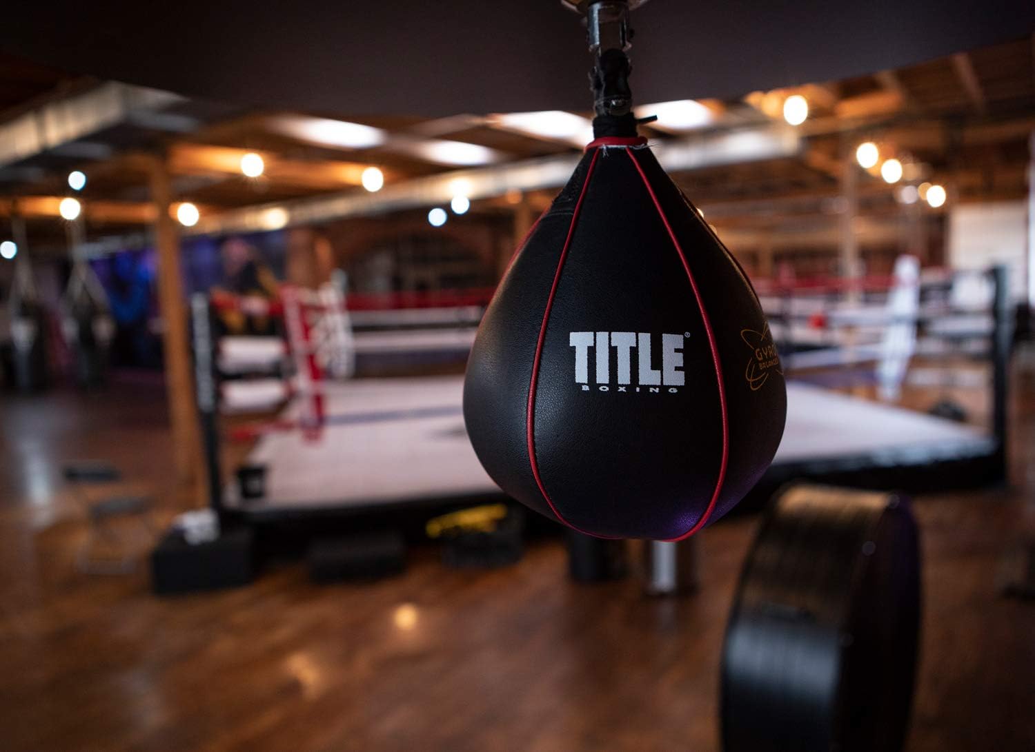 TITLE Boxing Gyro Balanced Speed Bags : Speed Punching Bags : Sports & Outdoors