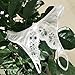 Sexy Women Girls Lingerie Thongs Adorable V-String Panties Lingerie Low-Rise Intimates Lace Charming G-String Underwear Sleepwear (White)