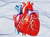 Revolutionizing Heart Surgery With Virtual Reality