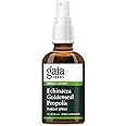 Gaia Herbs Echinacea Goldenseal Propolis Throat Spray - for Immune Support & Throat Health - with Licorice Root, Thyme, Echinacea, Peppermint & Oregon Grape - Organic 1 Fl Oz Spray Bottle