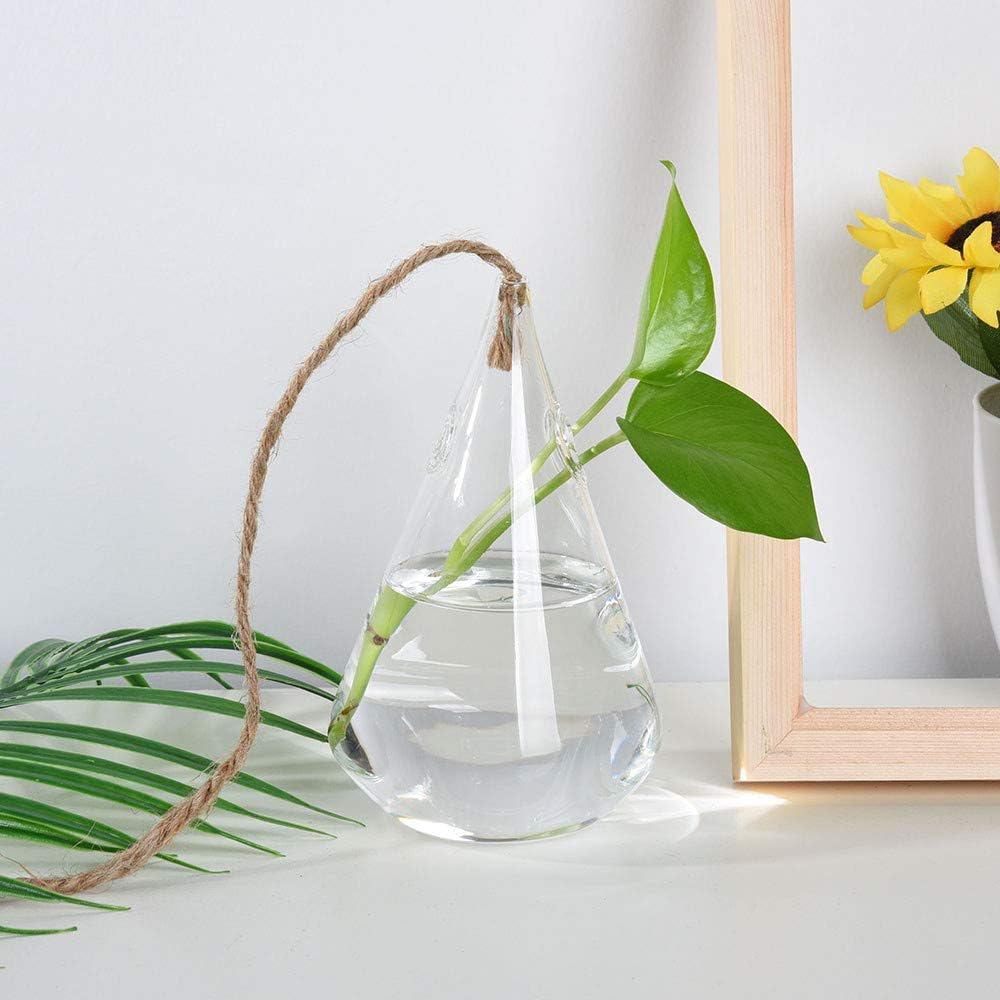 Ivolador Terrarium Container Flower Planter Hanging Glass for Hydroponic Plants Home Garden Decor -3 Type : Garden & Outdoor