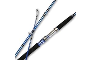Fiblink 2-Piece Saltwater Spinning Fishing Rod Offshore Graphite Portable Fishing Rod (7 Feet)