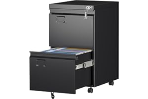 Aobabo 2 Drawer File Cabinet with Wheels, Lockable Metal Filing Cabinet with Business Card Slot for Legal/Letter Size Home Office, Required Assembled,Black