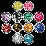 QIMYAR 12 Colors Nail Glitter Ice Mylar Shell Foil Slice Nail Art Decoration Tools (12 color)