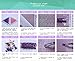 Full Diamond 5D DIY Diamond Painting