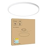 CycevSun 15.8 Inch Dimmable LED Ceiling Light Flush