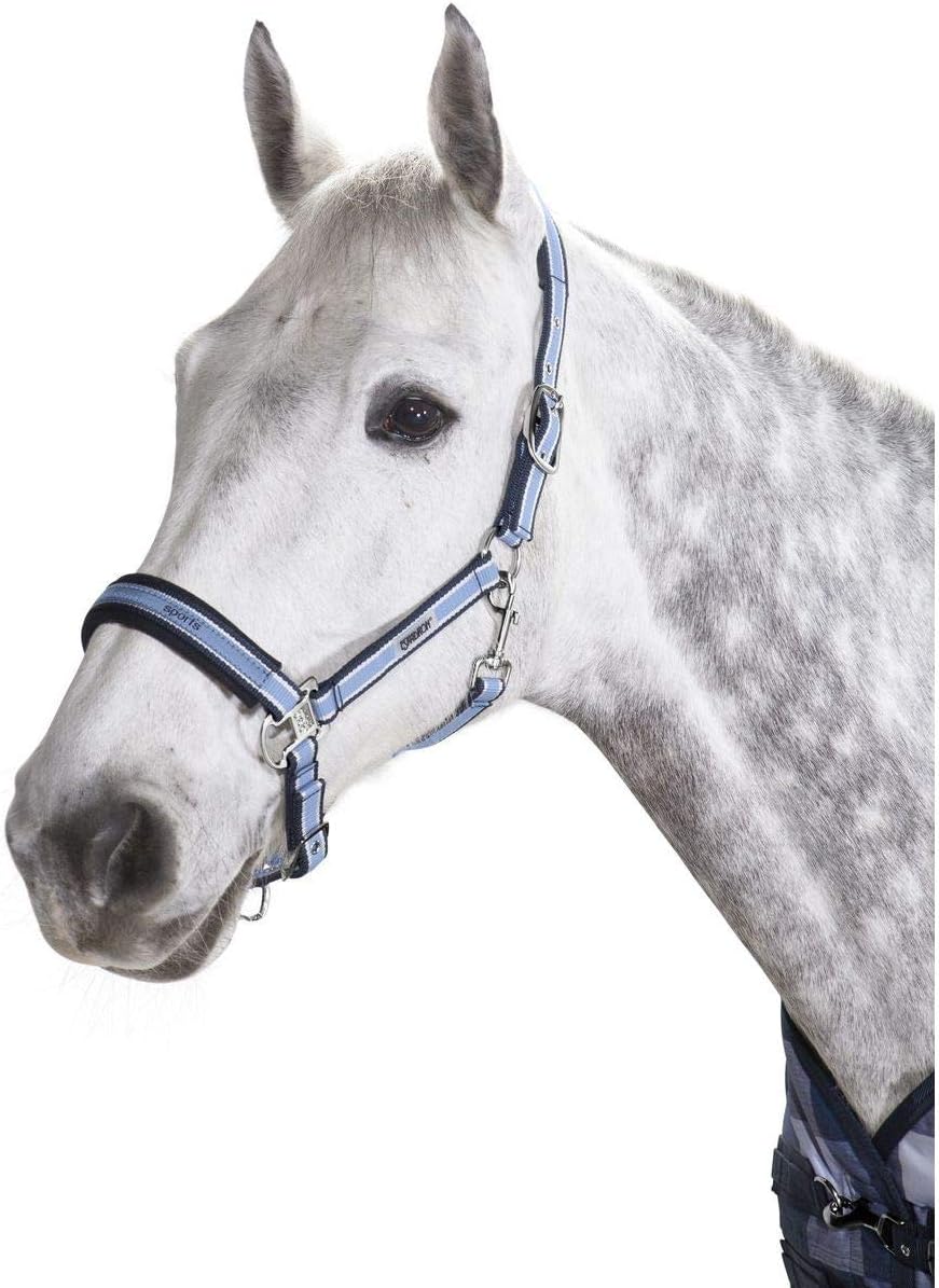 Eskadron - headcollar Striped - Classic Sports