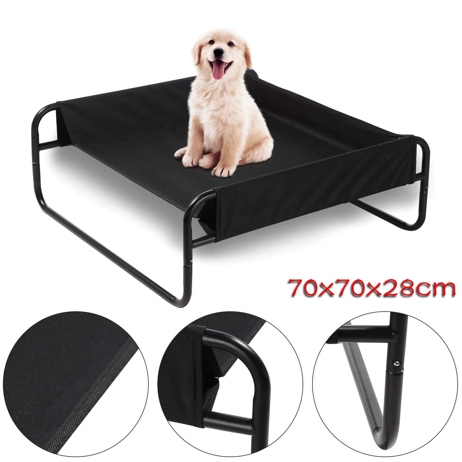 bunty raised dog bed