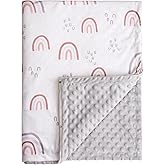 Baby Blankets for Girls, Rainbow Super Soft Nursery Minky Blanket for Newborn Baby, Double Layer with Dotted Backing, Essentials Receiving Bed Throw Blanket Stroller Crib Shower Gifts, 30 x 40 Inch