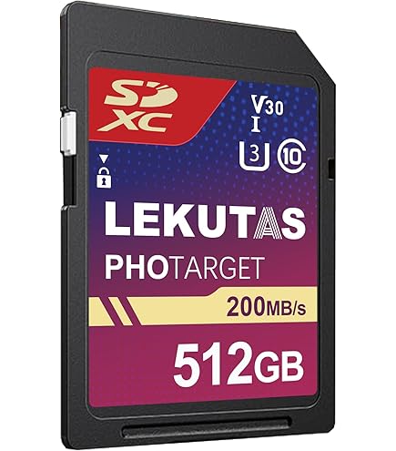 SDD 512GB と 500GB Amazon.com: Delkin Devices 512GB Advantage SDXC Memory Card UHS-I