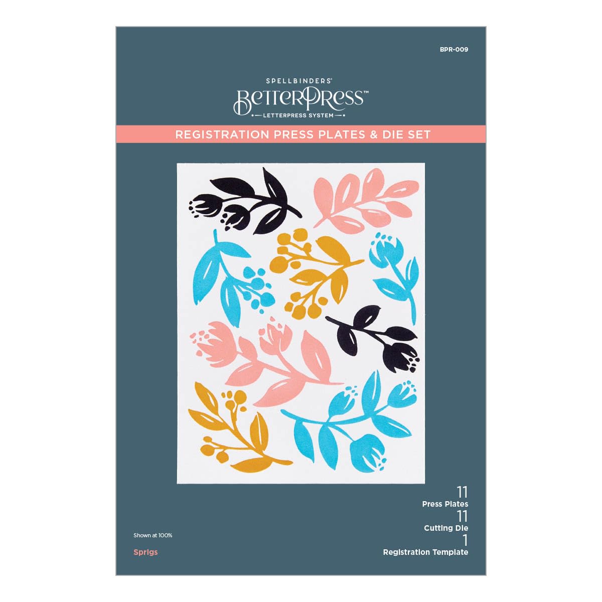 Spellbinders BPR-009 Sprigs Registration Press Plate & Die Set from The Cheers to You Collection