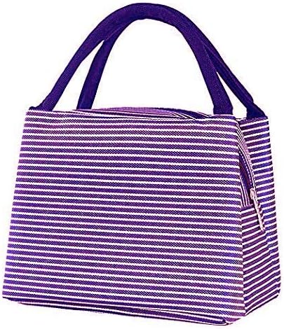 Magnusdeal Customized Polyester Thermal Insulated Waterproof Foldable Fruit/lunch Bag with Zip and Outside Pocket, Portable Aluminium Foil for Women, Men, School and Office (Sky Blue)
