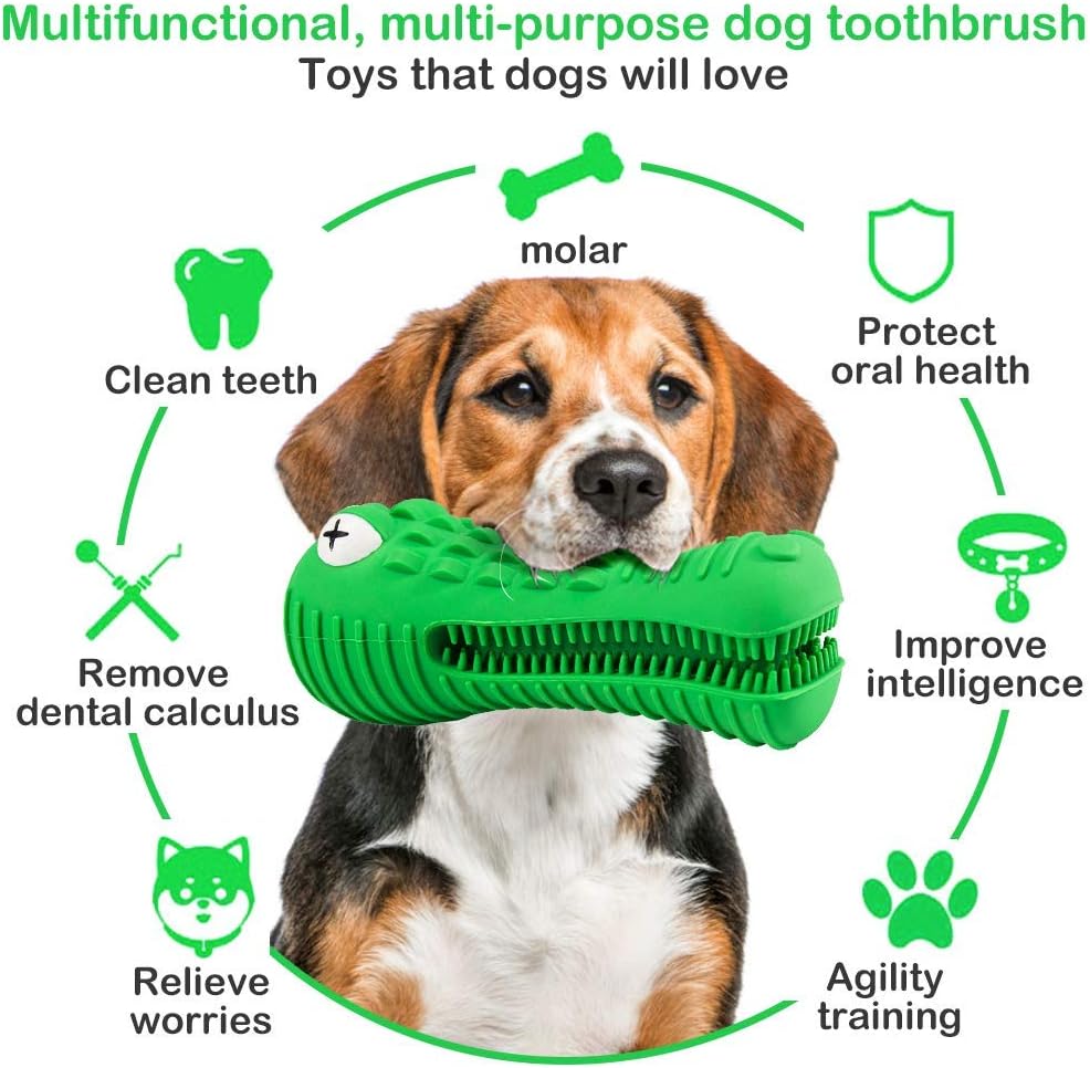 Kitchen & Dining : Dog Chew Toys for Aggressive Chewers Large Breed, RexSoul Dog Toothbrush & Squeaker Chew Toys, Reduces Plaque & Tartar Teeth Cleaning Play Toys Tough Tear-Resistant Durable Dog Toys (Green) : 