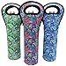 Wine Tote Carrier Bag/Purse For Champagne, Wine, Water Bottles (Paisley Designs)