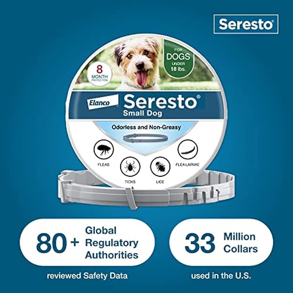 SERESTO SMALL DOG VET-RECOMMENDED FLEA & TICK TREATMENT & PREVENTION COLLAR FOR DOGS UNDER 18 LBS. | 8 MONTHS PROTECTION