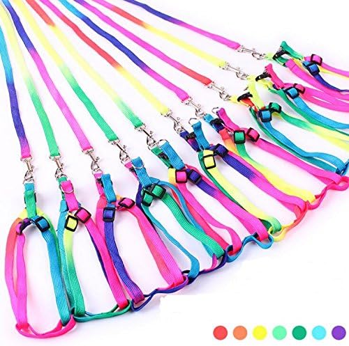 YesluckY Adjustable Rainbow color Pet Dog Leash Small Puppy Cat Rabbit Kitten Nylon Leash Harness Collar Lead