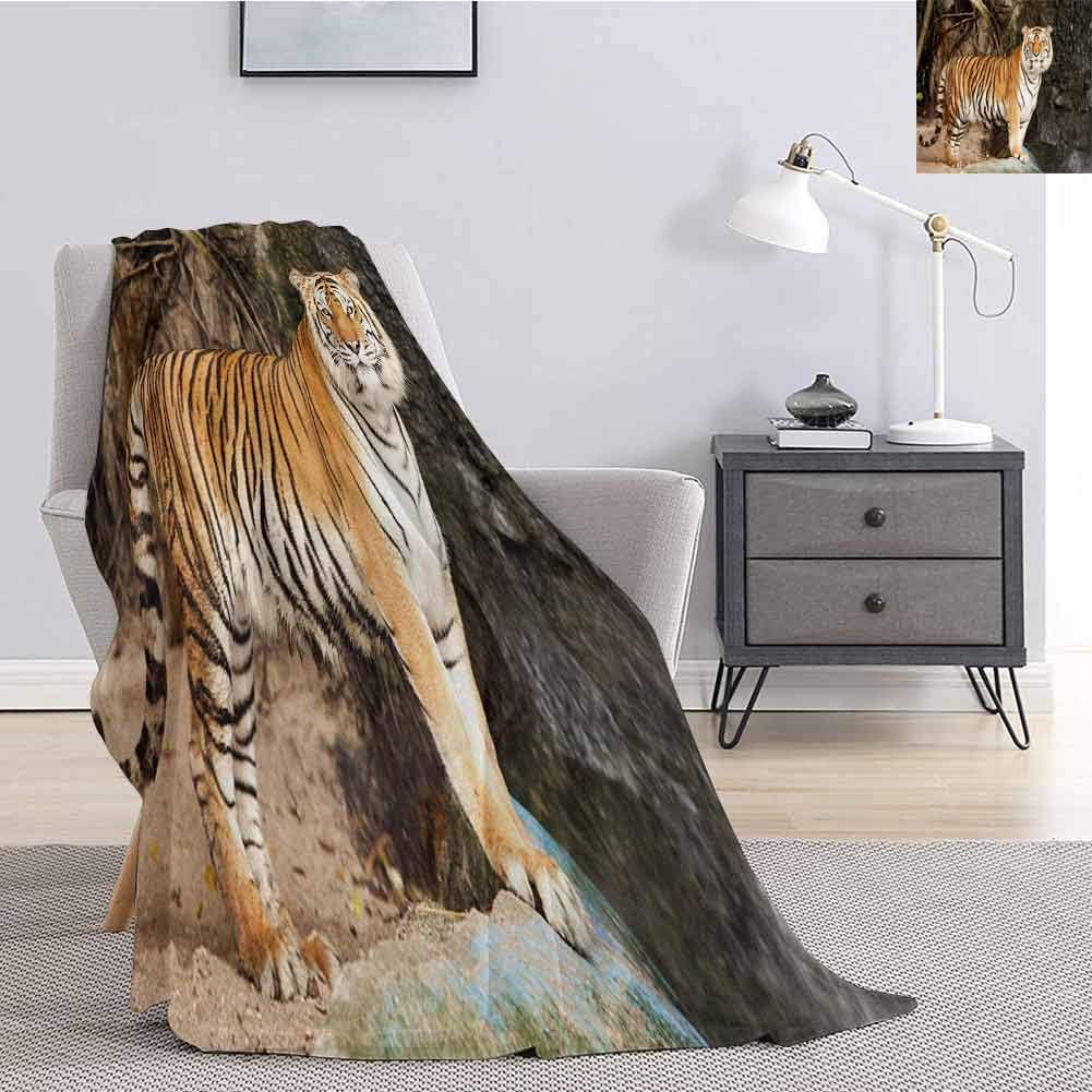 The 10 Best Sherpa Royal Tiger Print Heating Blanket