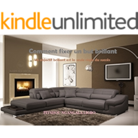 Comment fixer un but brillant: Un objectif brillant est la seule règle du succès (French Edition) book cover