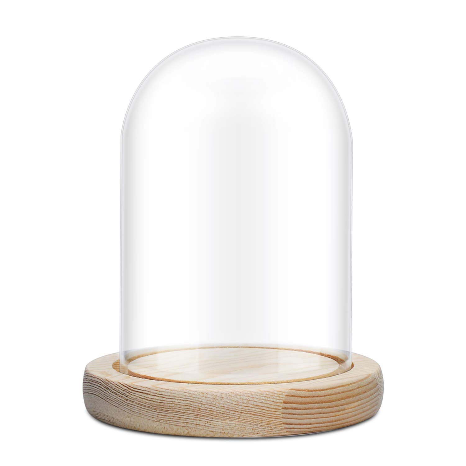 Segarty Glass Dome Display Case, 8 x 4.5 in Glass Display