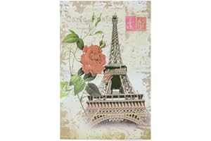 BSEASH Diversion Book Safe, Dictionary Secret Cash Safe Box with Combination Lock, Diversion Book Hidden Safe (Paris,Code, M)