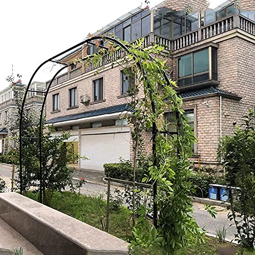 Rosenbogen Metall, Torbogen Für Kletterpflanzen, Lauben, Hinterhöfe, Hochzeit, Wetterfest, Stabil, Leicht Zu Montieren… – Bild 3