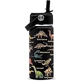 FAIVHSO Dinosaur Gifts, 16 oz Water Bottle with Straw Lid, Stainless Steel Insulated Water Bottle for Travel Outdoor, Dinosaur Cup for Dinosaur Lovers (1pcs)