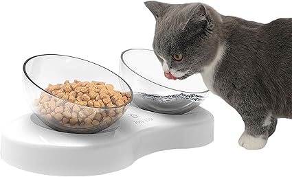 Amazon Com Petnoz Double Cat Bowls Elevated Pet Food Water Bowl