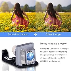SunnyPro BL-FU240A Replacement Projector Lamp for