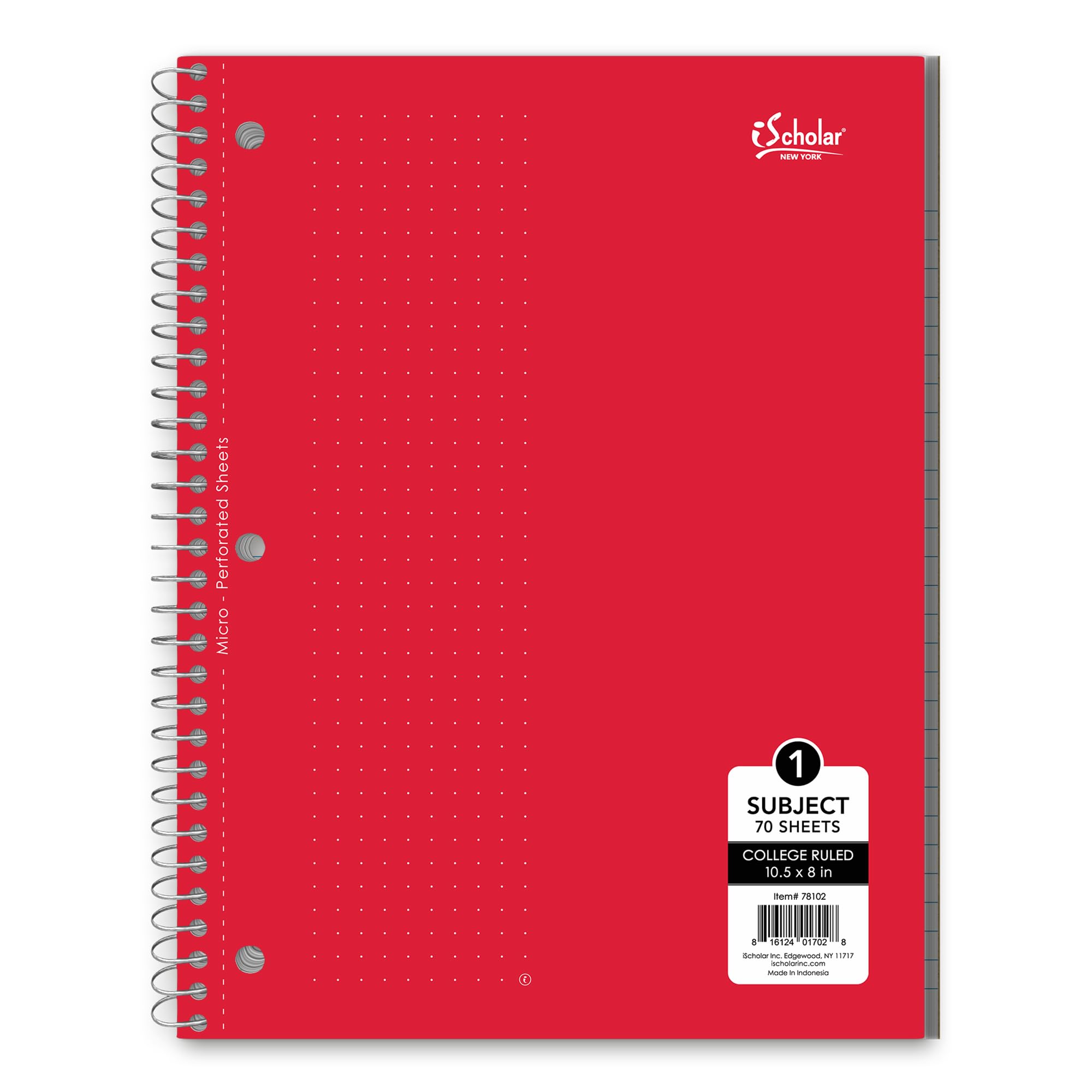 iScholar 1-Subject Wirebound Notebook, 70 Sheets, College Ruled, 10.5 x 8-Inches, Cover Color May Vary (78102)
