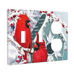 Pznen 2 Toggle 1 Duplex Combination Wall