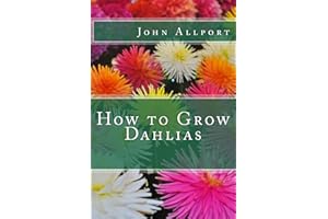 How to Grow Dahlias
