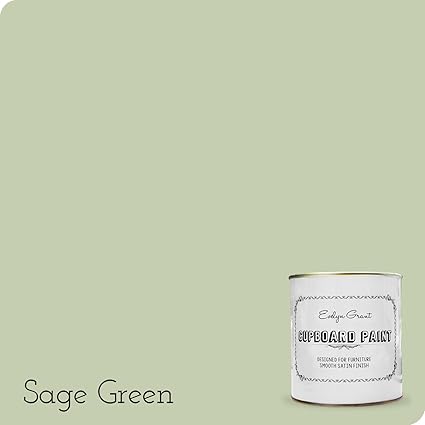 Evelyn Grant Cupboard Paint 1l Sage Green Amazon Co Uk Diy Tools