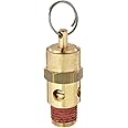 Control Devices-ST25-1A ST Series Brass ASME Safety Valve, 125 psi Set Pressure, 1/4" Male NPT