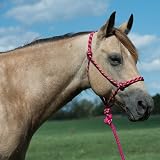 Weaver Leather Diamond Braid Rope Halter and Lead Lavender Mint Gray view 3