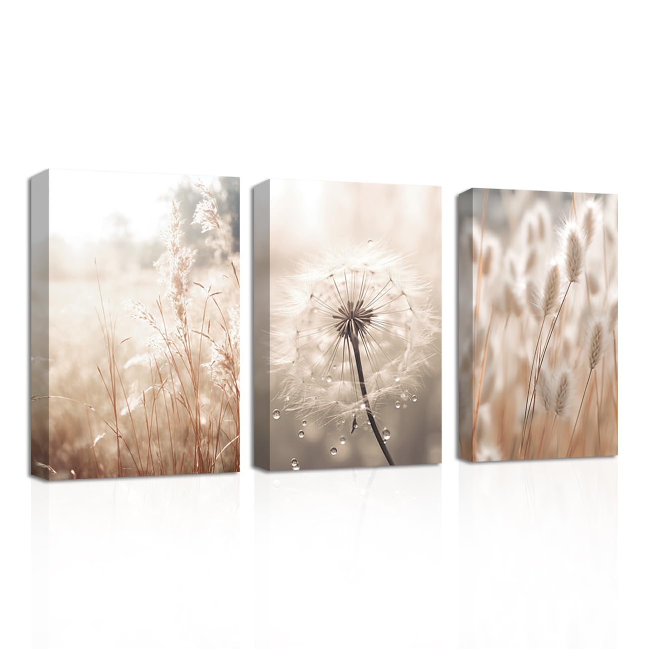 CXHOSTENT Dandelion Canvas Wall Art 3 Piece Beige Botanical Dandelion Reed Grass Painting Prints Nordic Posters Nature Plant Wildflower Picture (Nature-2, 40.00 x 60.00 cms x 3PCS)