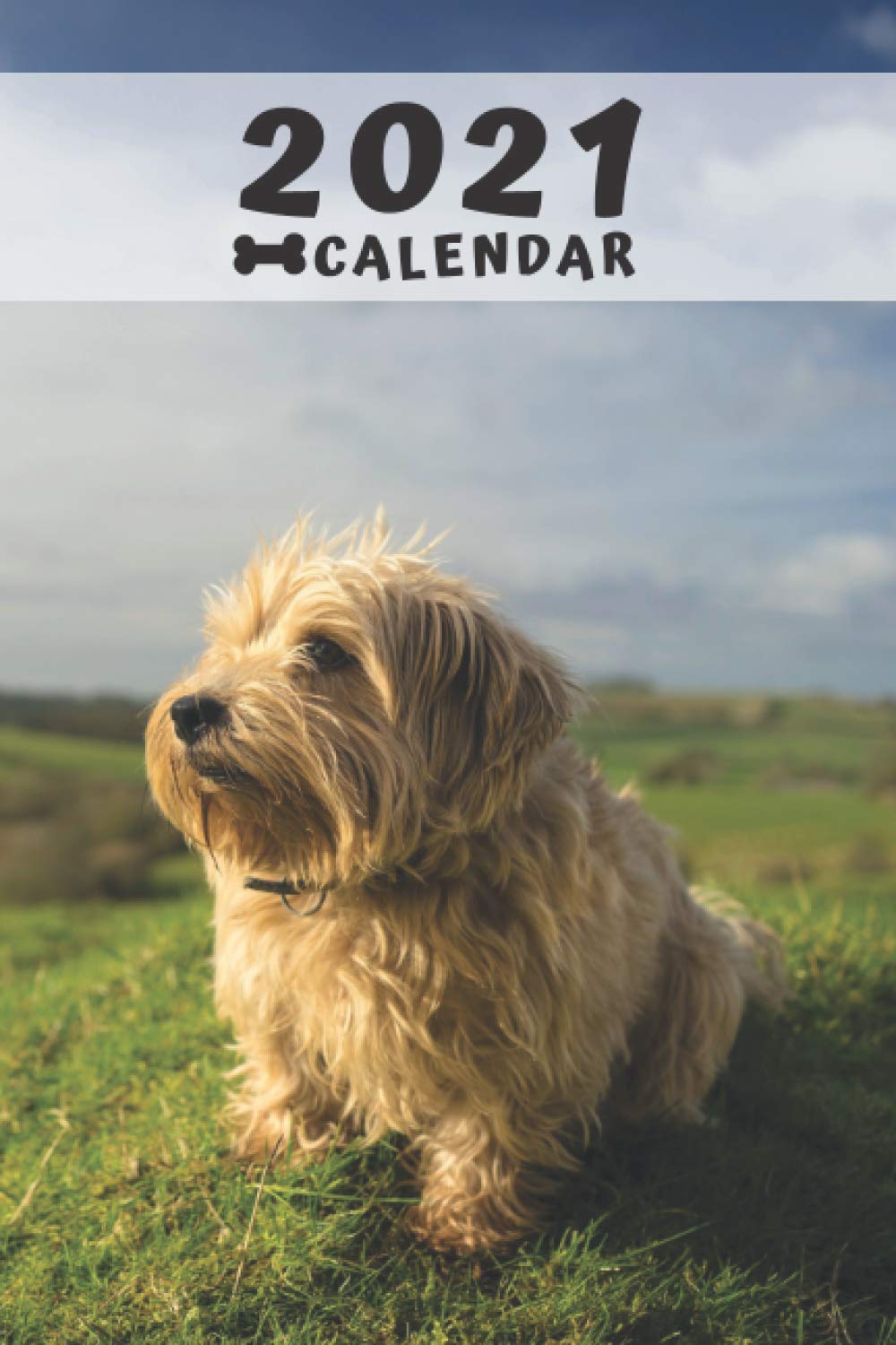 Norfolk Terrier Calendar 21 Perfect For Notes And Planning Monthly And Weekly 21 Planner Diary White Megi Amazon De Bucher