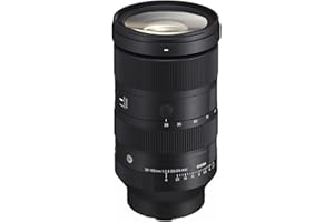 28-105mm F2.8 DG DN for Sony Mount