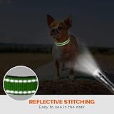 Taglory Reflective Nylon Dog Collar XS Green Safety Buckle Neoprene Padding view 5