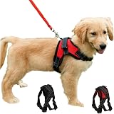 FUNKEEN PET HOUSE Dog Harness No Pull Adjustable XS Red Mesh Breathable