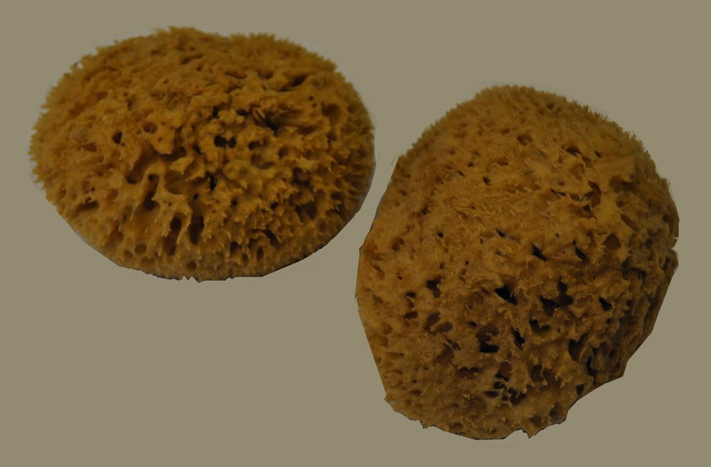 Natural Sea Sponge 4.5" Value Pack 2 Pack of 2