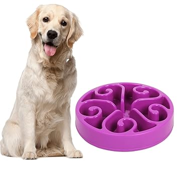 Pet Dog Slow Feed Bowl Pet Fun Feeder Dog Bowl Bloat Stop Dog Food